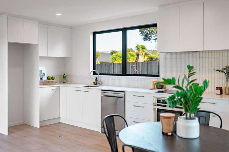 1/3 Humboldt Street Sydenham_6