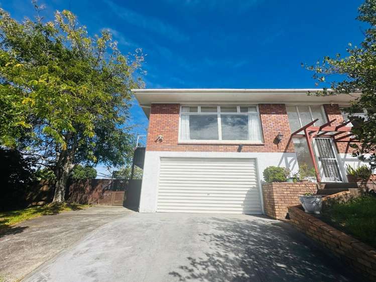 4 Catton Crescent Mount Roskill_0