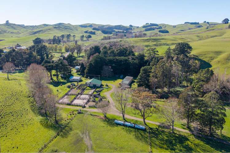 467 Waitahora Valley Road Dannevirke_12