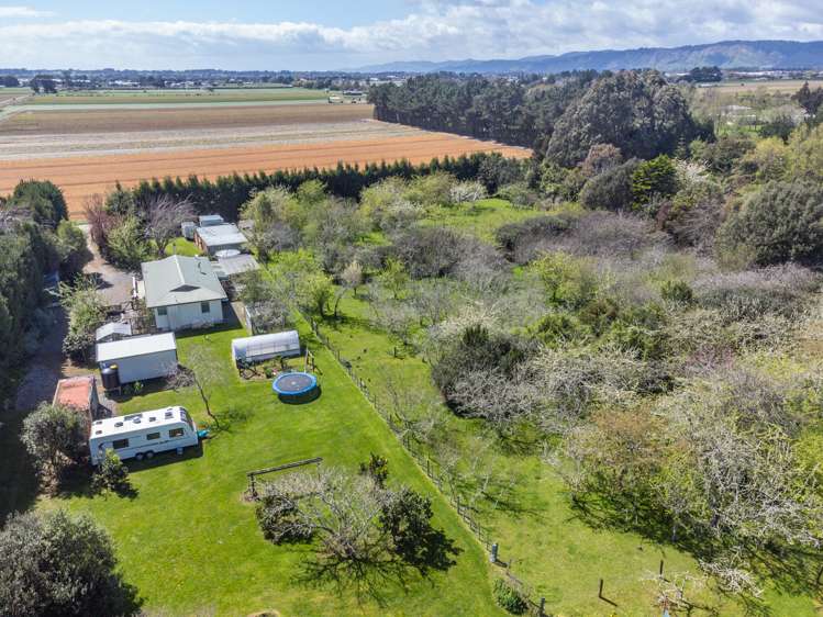 35 Whelans Road Levin_19