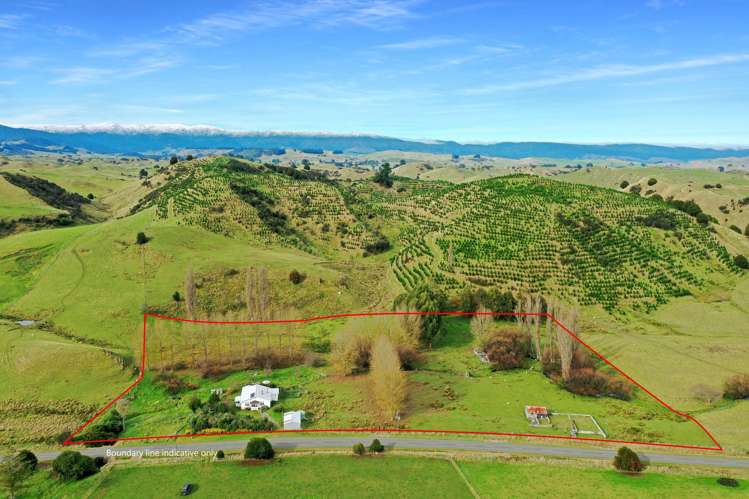 2096 Rangiwahia Road_0