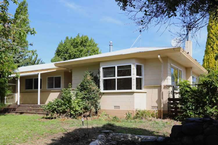 40 Alma Street Renwick_1