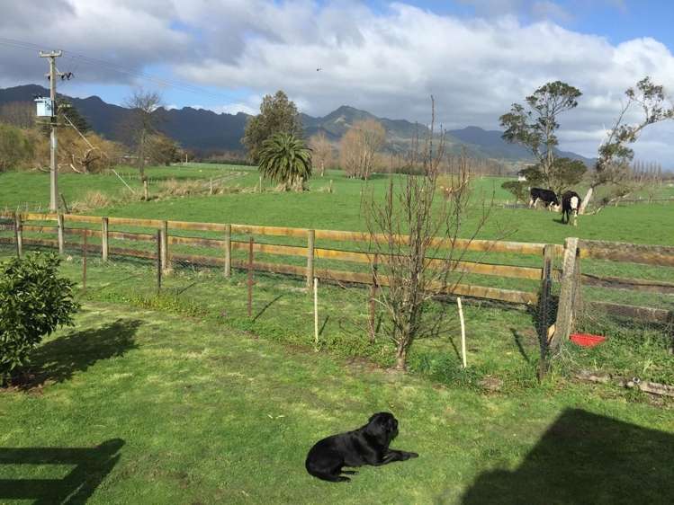 646 Te Aroha-Gordon Road Hauraki Surrounds_5