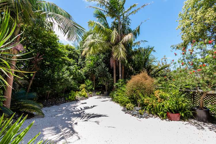 4 Bayfield Road Ponsonby_14