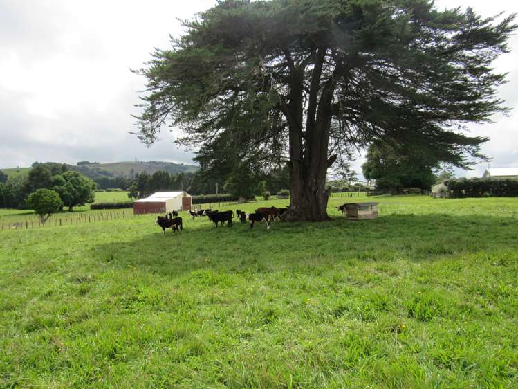 5573 State Highway 12 Kaikohe_13