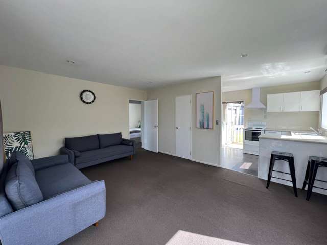 207A Te Atatu Road Te Atatu South_3