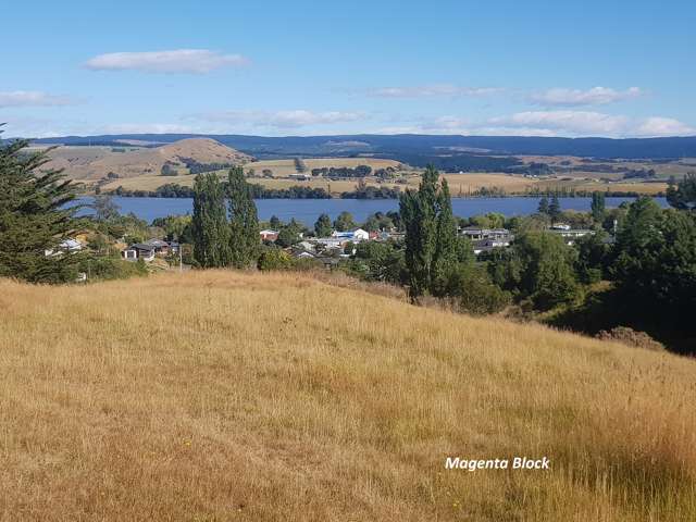 Waihola - Two Quality Bare Land Options