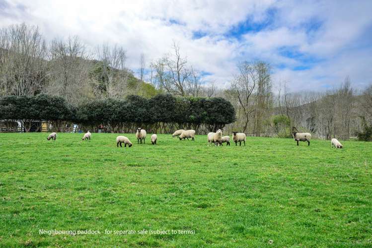 232 Brownlie Road Wairoa Country_31