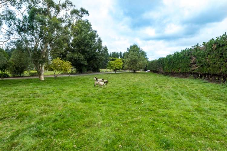 162 Orari Station Road Orari_7