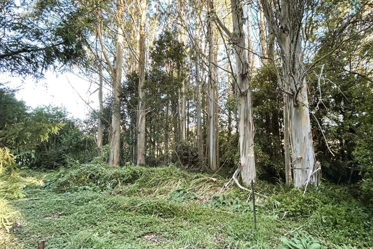 580 Mackay Pass Road Bainham_21