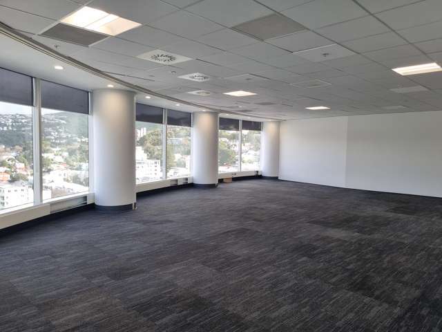 100 Willis Street Wellington Central_4