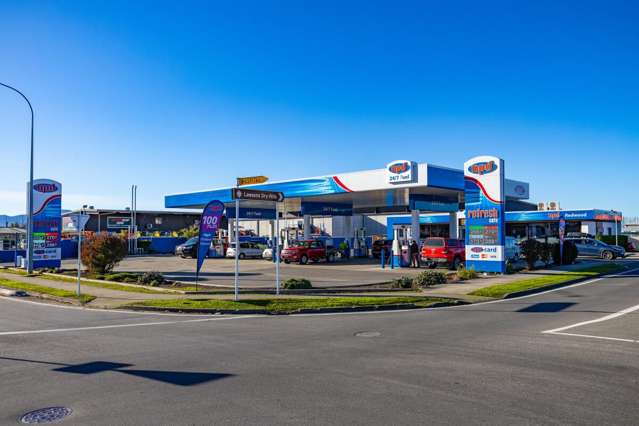 143 Alabama Road Blenheim_1