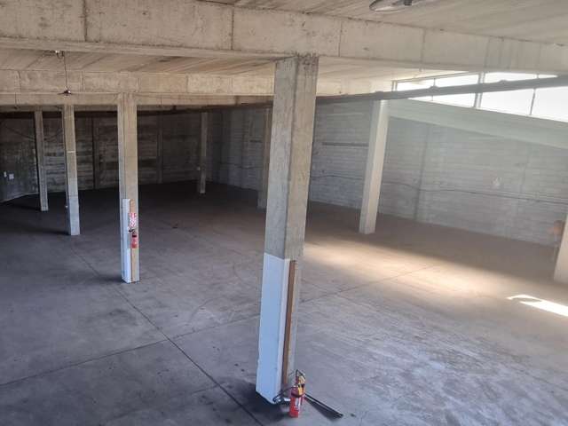 2 Cornish street Petone_1