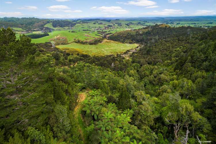 837 Paparimu Road Mangatawhiri_3