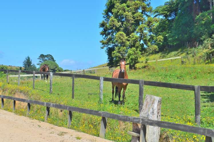 2 Peers Road Kaimai_18