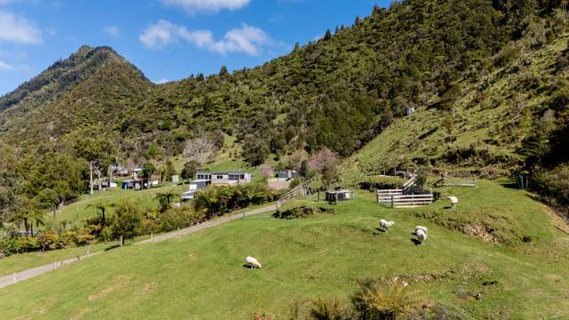 1344 Otara Road Toatoa_2