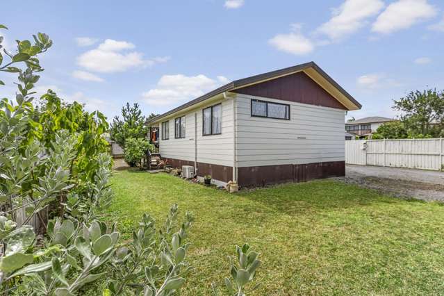 Unlock Potential Freehold Renovation Project!