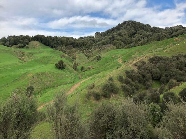 3434 State Highway 4 Aria_9