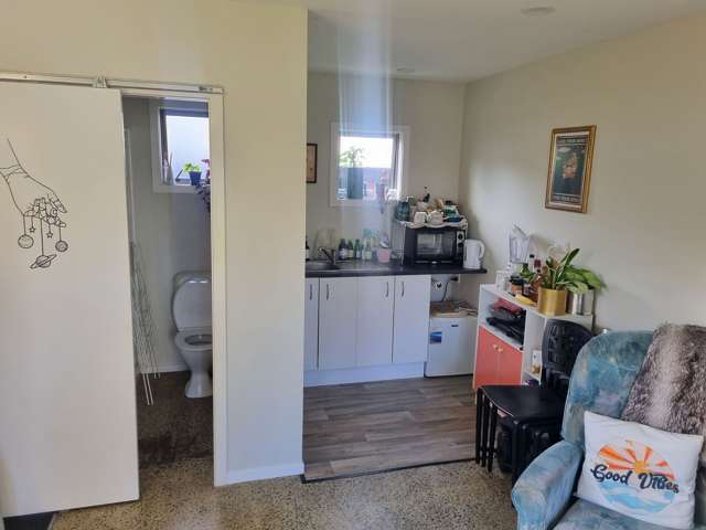 4 Cotter Place Hamilton East_4