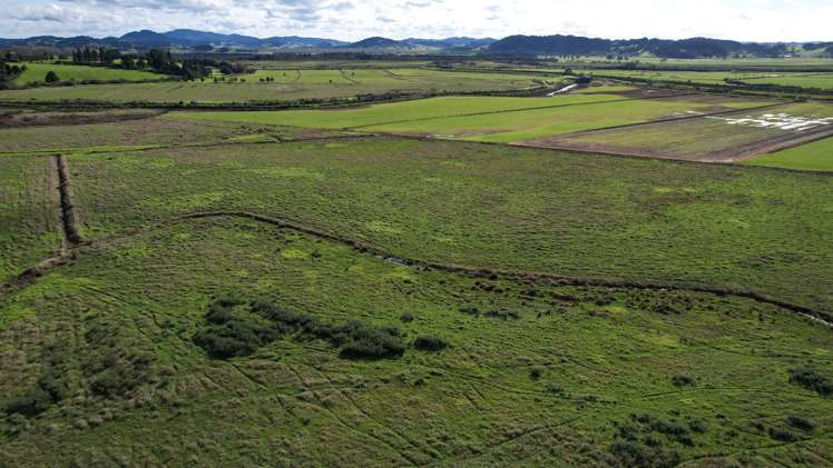 224 Rushbrook Road Ruatangata_9