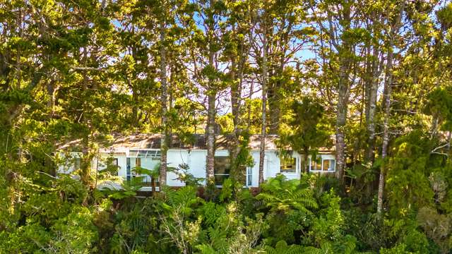 98 Scenic Drive Titirangi_1