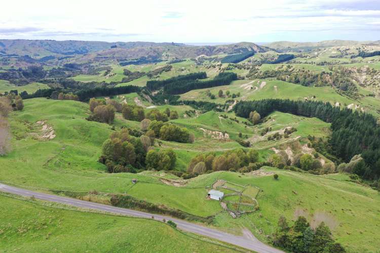 643 Glengarry Road Puketapu_11