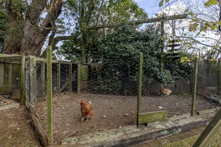25 Waiwera Place Merrilands_24