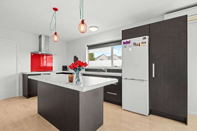 59 Evesham Crescent Spreydon_2