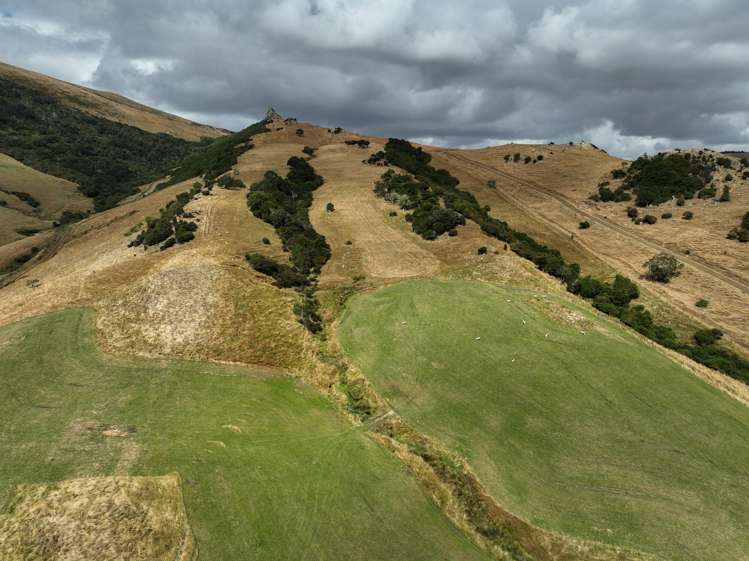 1320 Hunt Road Catlins Surrounds_9