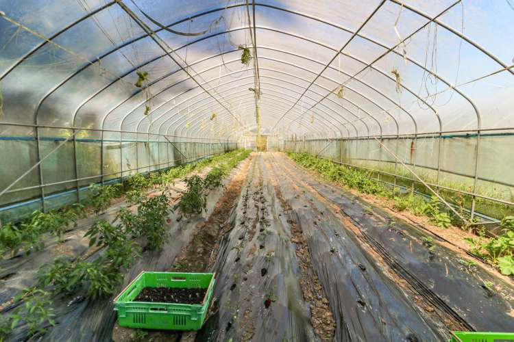 21 Noakes Hill Road Puhoi_18