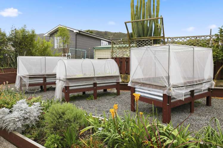 407 Willoughby Street Thames-coromandel_13