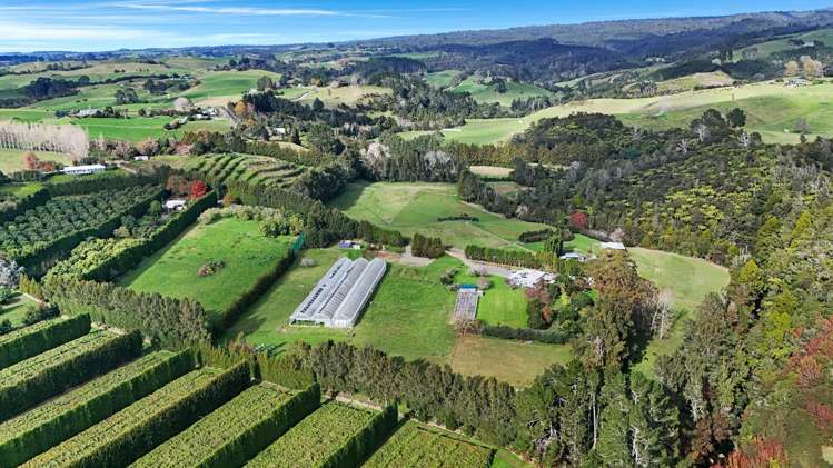 484C Wright Road Aongatete_22
