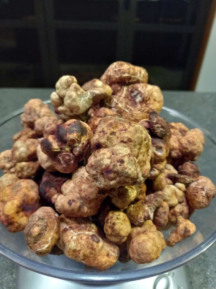 118 Lachlan Avenue Hawea Flat_25