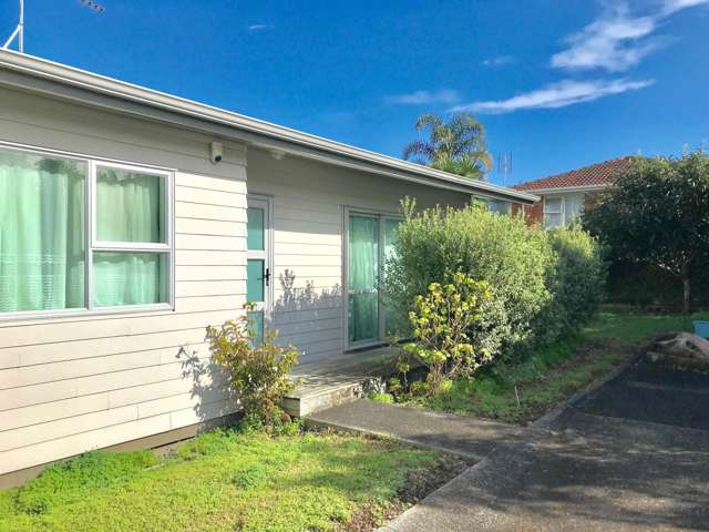 39b Kings Road Panmure_4