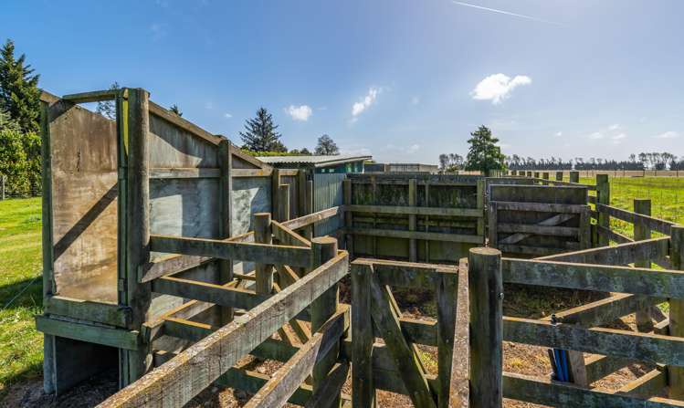 286 Mitcham Road Mitcham_28