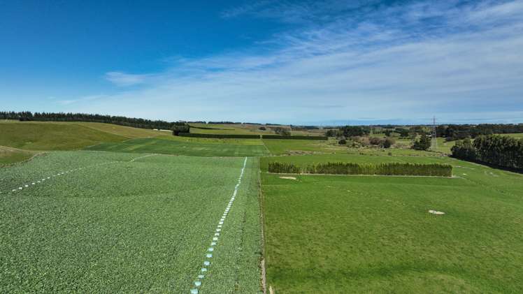 55 McGill Road Te Tipua_16