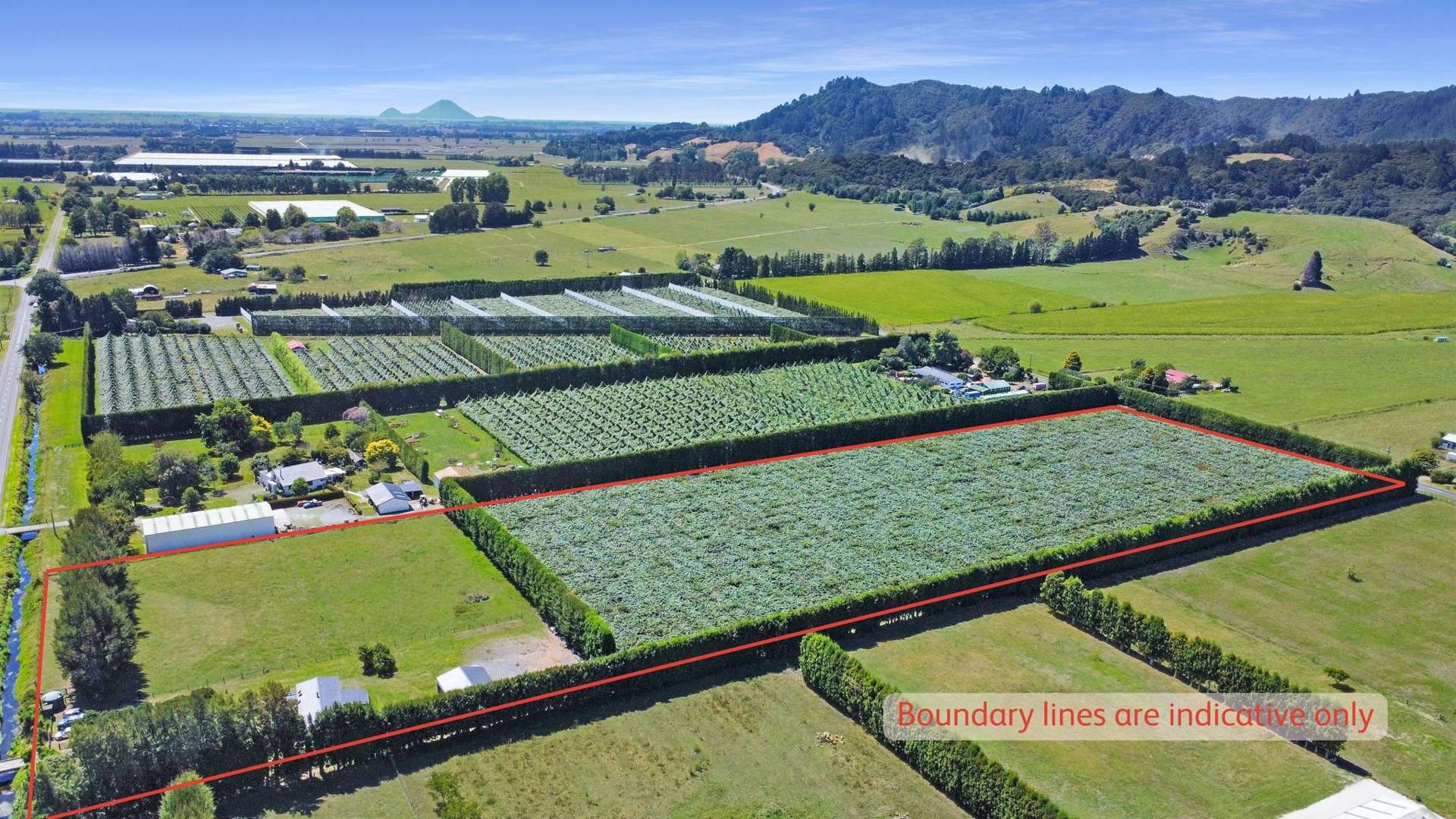 59 Macdonald Road Te Teko_0