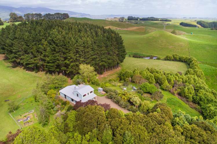 484 Finnis Road Pohangina_5