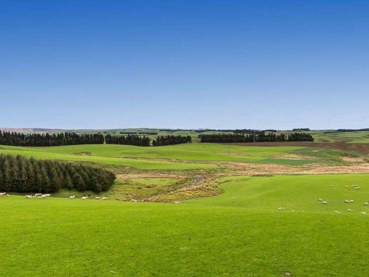 1680 Mahinerangi Road Waipori_31