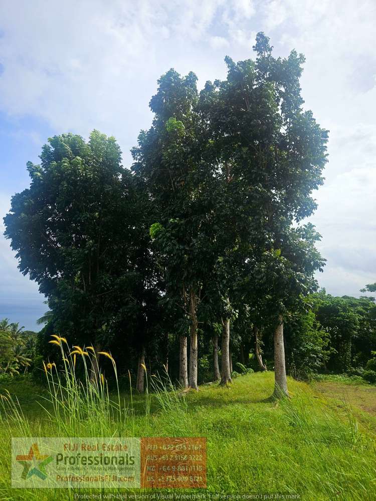 Address withheld Savusavu_7