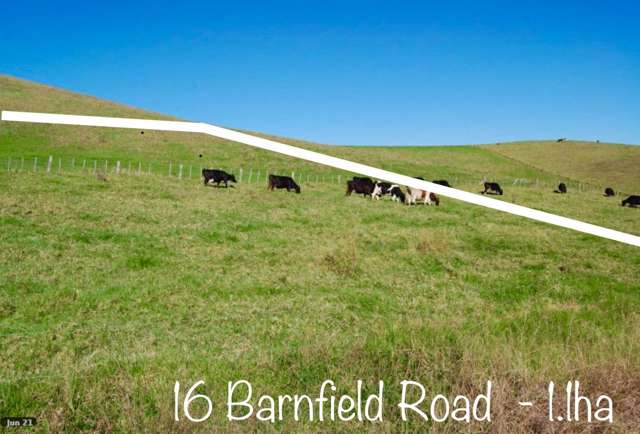 16 Barnfield Road Kaiwaka_4