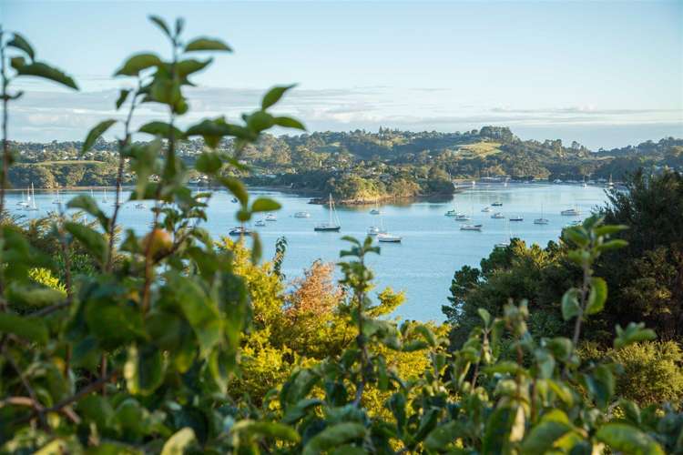 29 Rothschild Terrace Waiheke Island_13