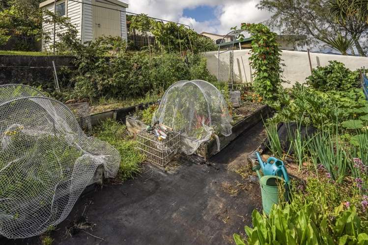 29 View Mount Stoke_20