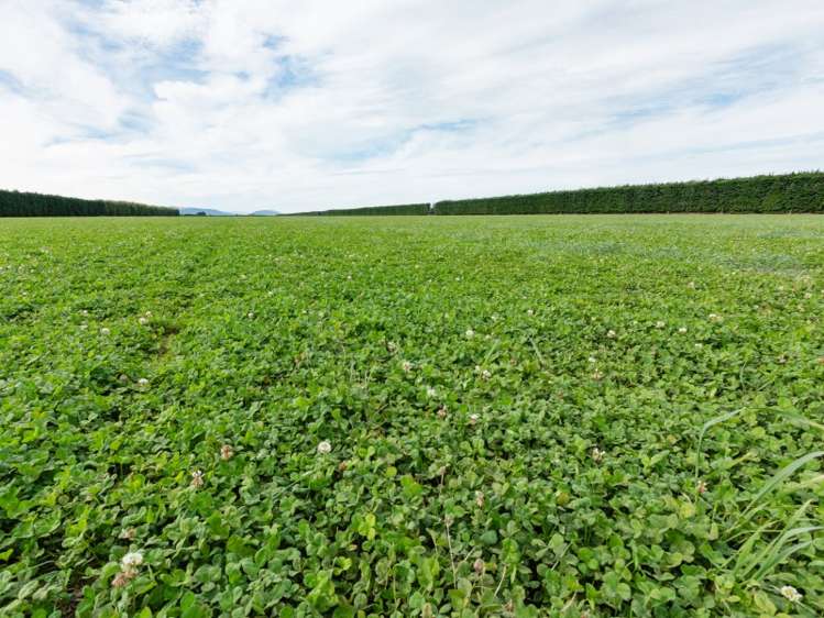 147 O'Briens Road Methven_7