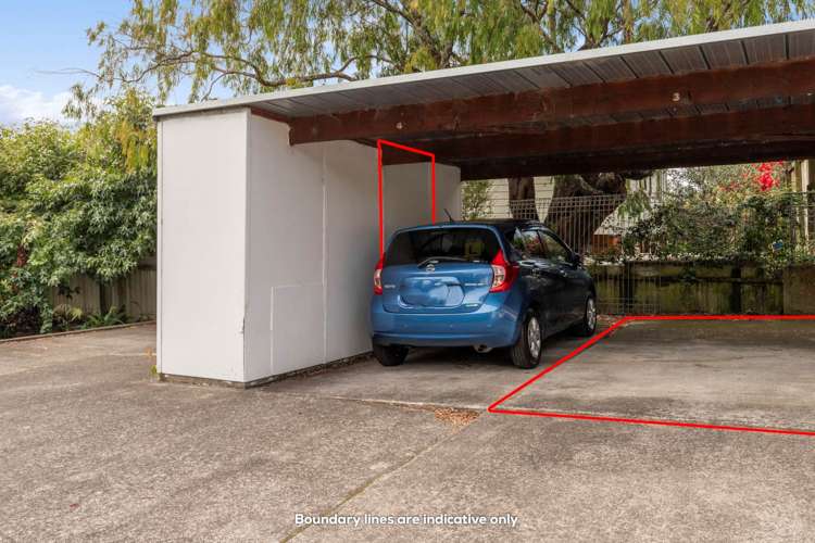 3/103 Landscape Road Mt Eden_10