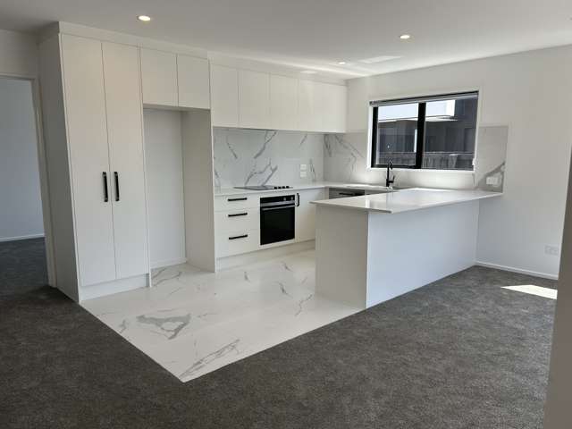 117d Edinburgh Street Spreydon_1