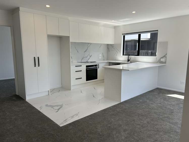 117d Edinburgh Street Spreydon_1