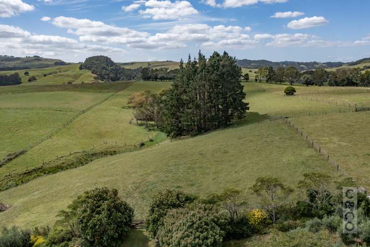 1226 State Highway 16 Waimauku_56