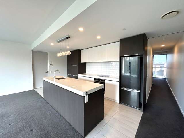 112/189 College Road Stonefields_2