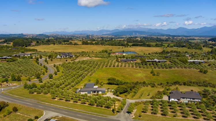 443 Old Coach Road Upper Moutere_18